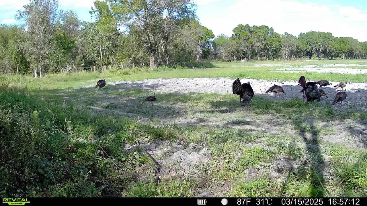 8348 S US HWY 17 HWY, ZOLFO SPRINGS, FL, 33890