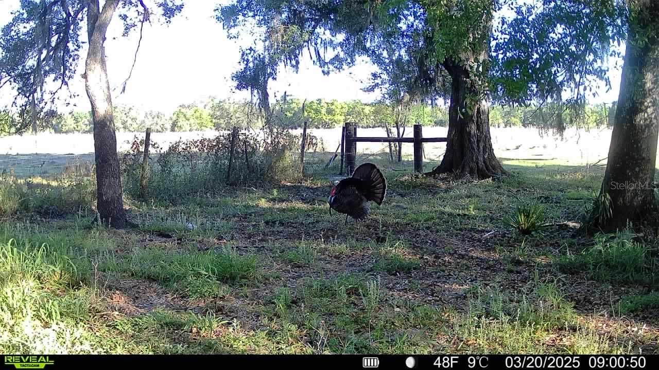 8348 S US HWY 17 HWY, ZOLFO SPRINGS, FL, 33890