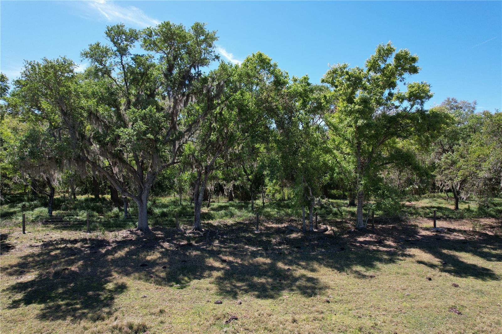 8348 S US HWY 17 HWY, ZOLFO SPRINGS, FL, 33890