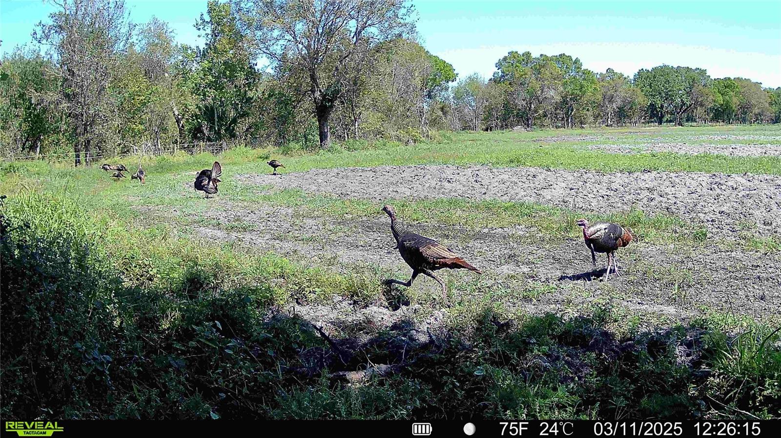 8348 S US HWY 17 HWY, ZOLFO SPRINGS, FL, 33890