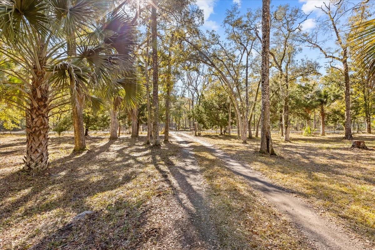 135 NE 306TH AVE, OLD TOWN, FL, 32680