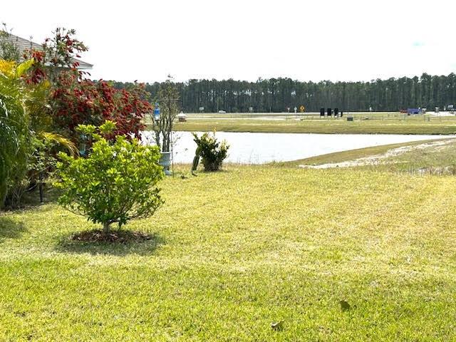 181 CARYOTA CT, NEW SMYRNA BEACH, FL, 32168