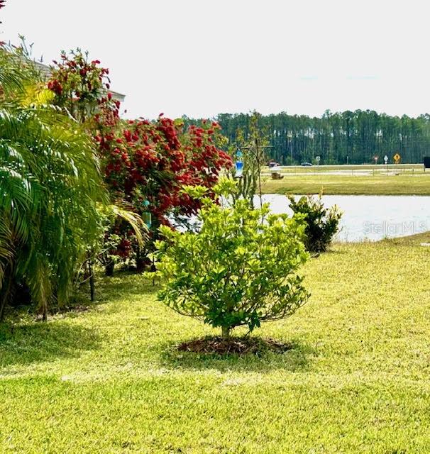 181 CARYOTA CT, NEW SMYRNA BEACH, FL, 32168