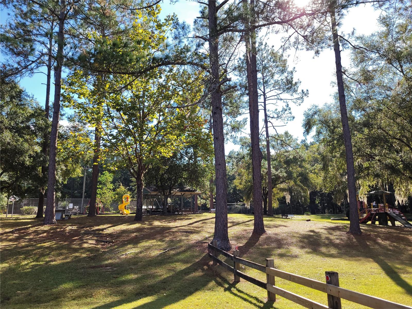 11661 CREEK DR, ALACHUA, FL, 32615