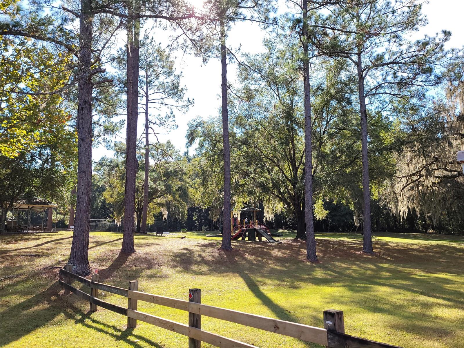 11661 CREEK DR, ALACHUA, FL, 32615
