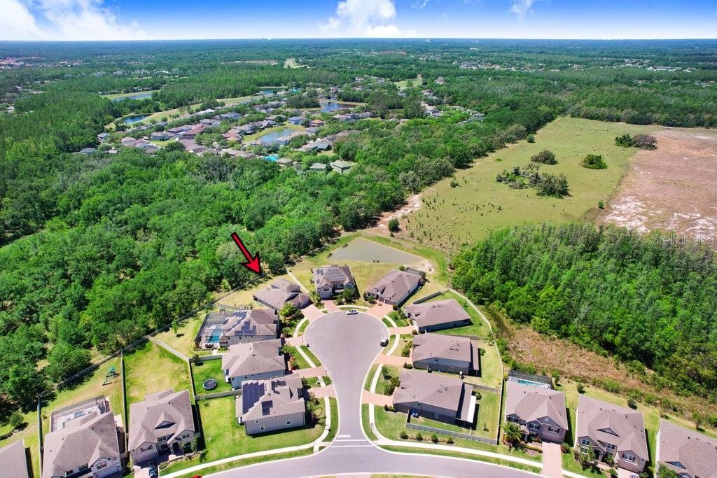 10703 MORNING DEW WAY, TAMPA, FL, 33647
