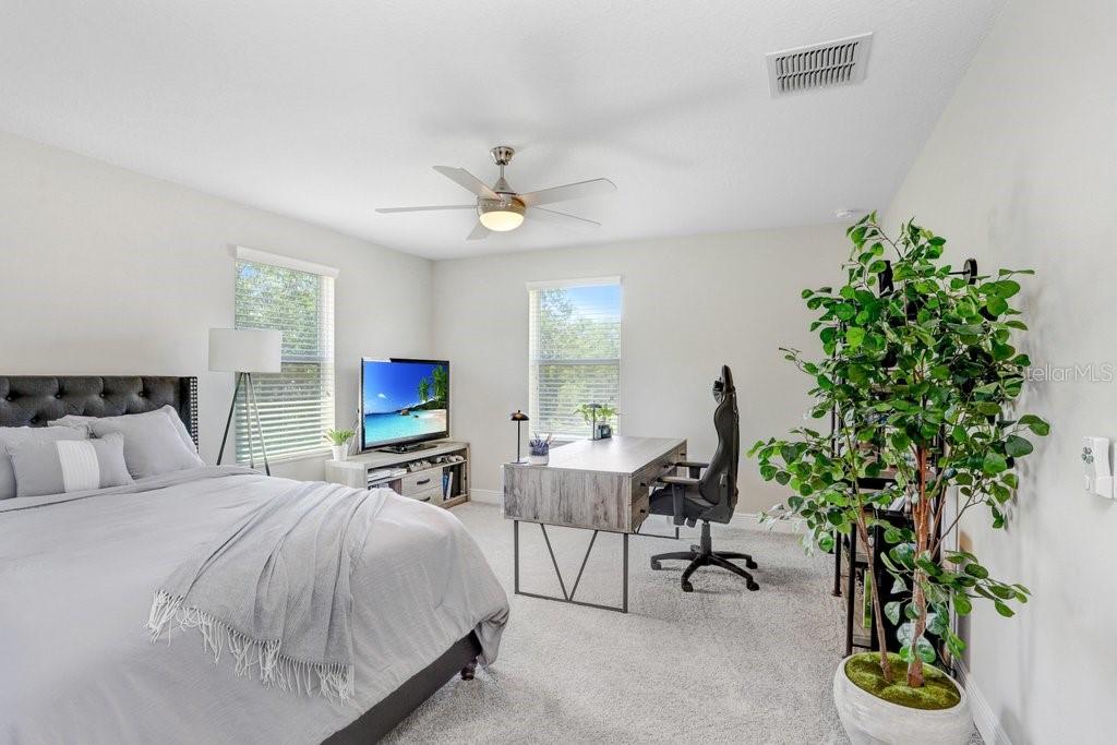 10703 MORNING DEW WAY, TAMPA, FL, 33647