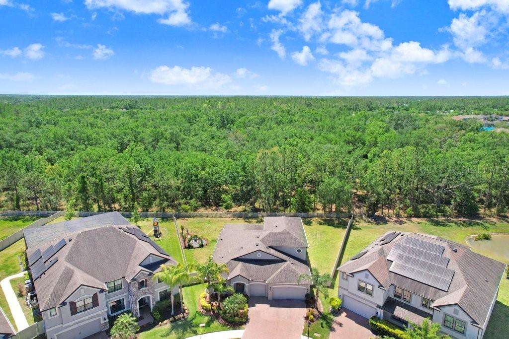 10703 MORNING DEW WAY, TAMPA, FL, 33647
