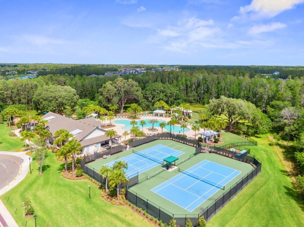 10703 MORNING DEW WAY, TAMPA, FL, 33647