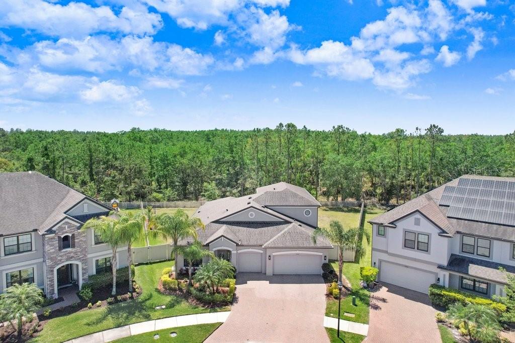 10703 MORNING DEW WAY, TAMPA, FL, 33647