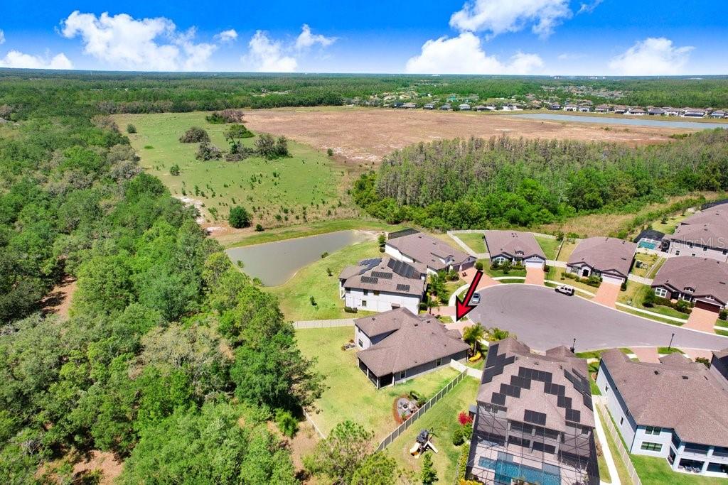 10703 MORNING DEW WAY, TAMPA, FL, 33647