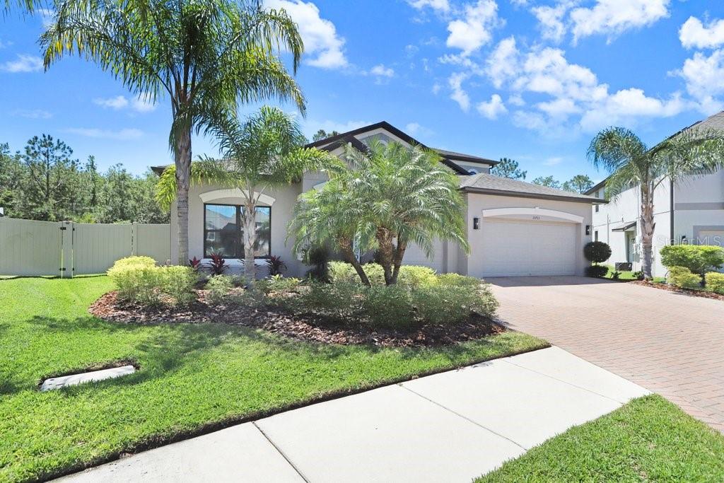 10703 MORNING DEW WAY, TAMPA, FL, 33647