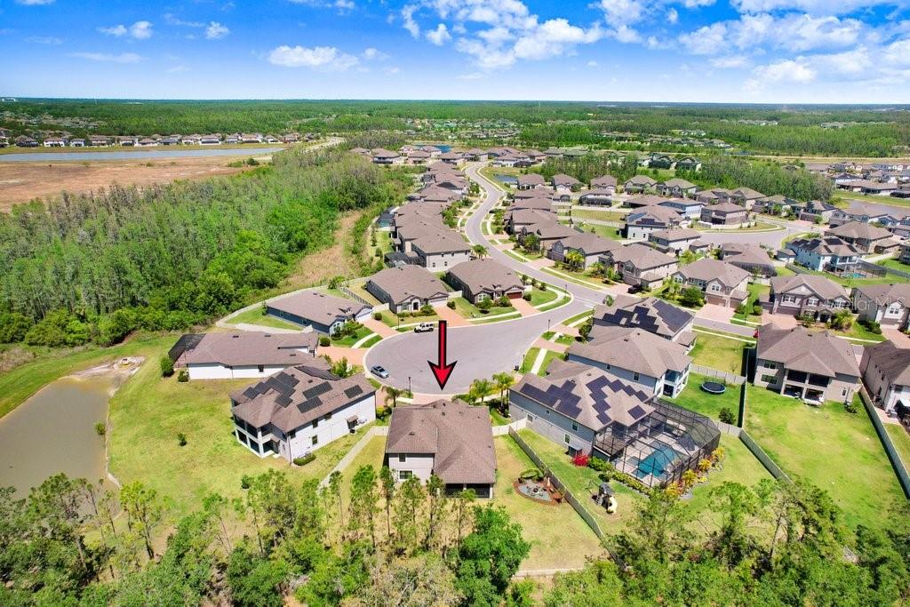 10703 MORNING DEW WAY, TAMPA, FL, 33647
