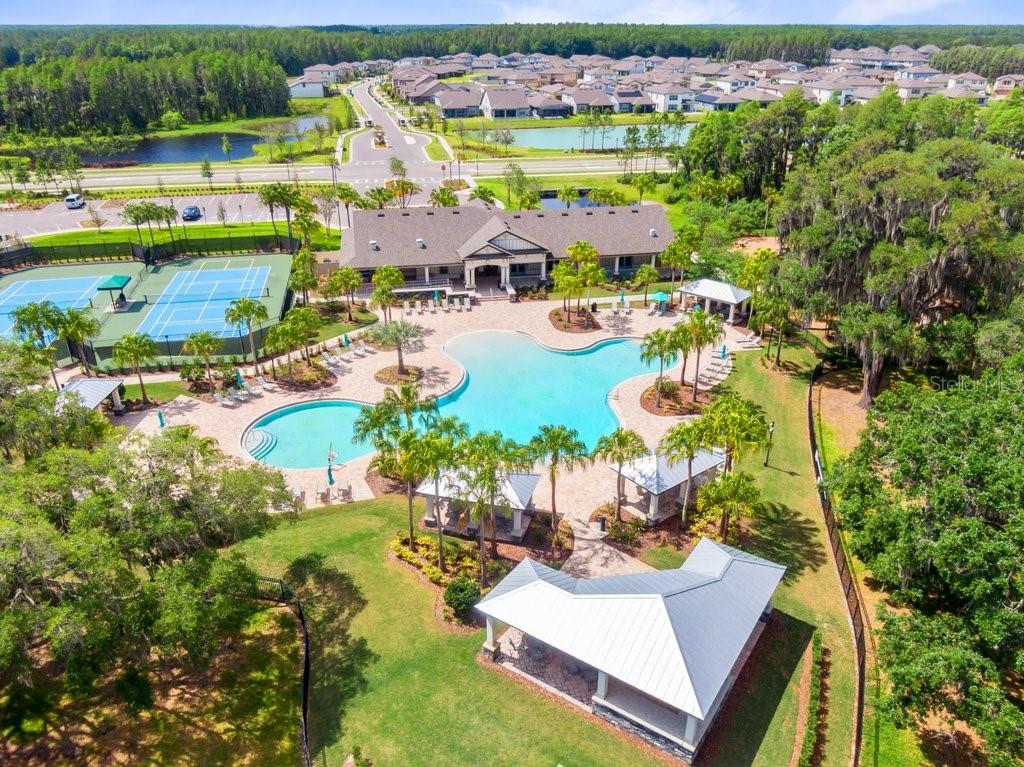 10703 MORNING DEW WAY, TAMPA, FL, 33647