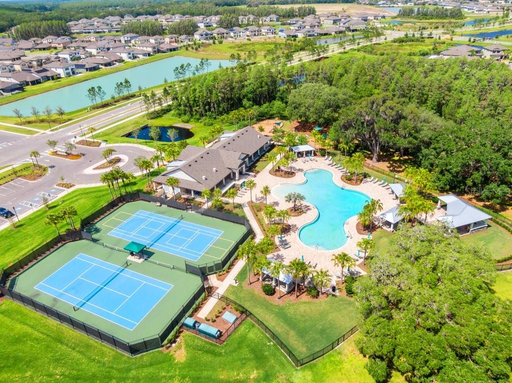 10703 MORNING DEW WAY, TAMPA, FL, 33647