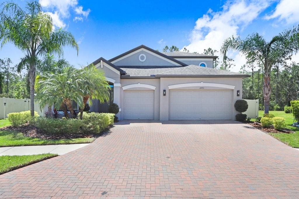 10703 MORNING DEW WAY, TAMPA, FL, 33647