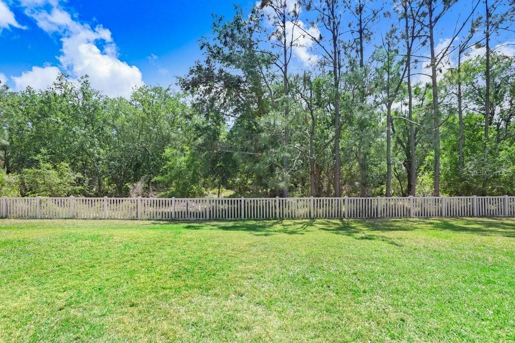 10703 MORNING DEW WAY, TAMPA, FL, 33647