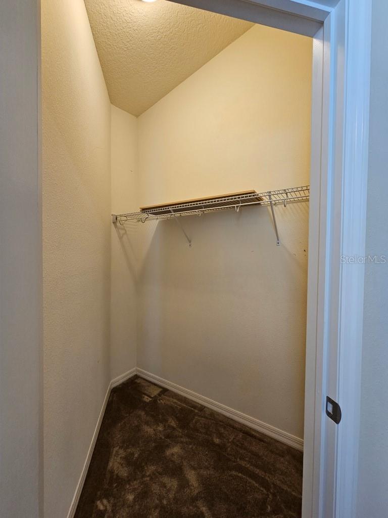 11513 SCARLET IBIS PL, RIVERVIEW, FL, 33569