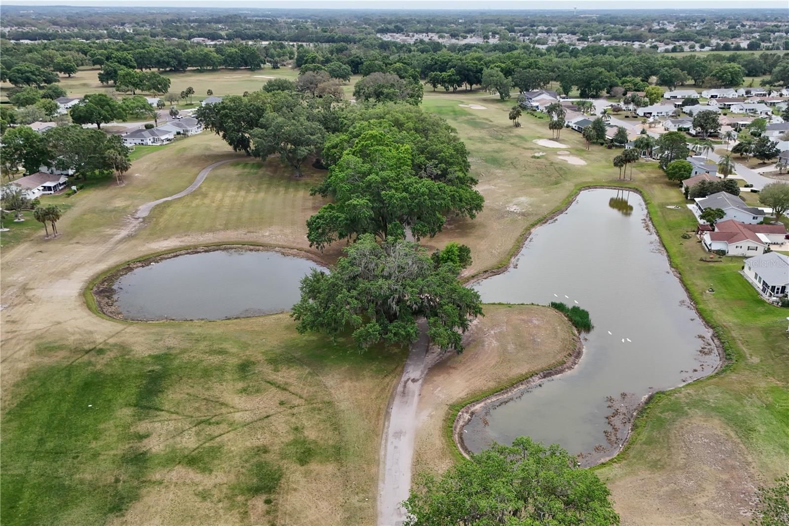10689 SE 174TH LOOP, SUMMERFIELD, FL, 34491