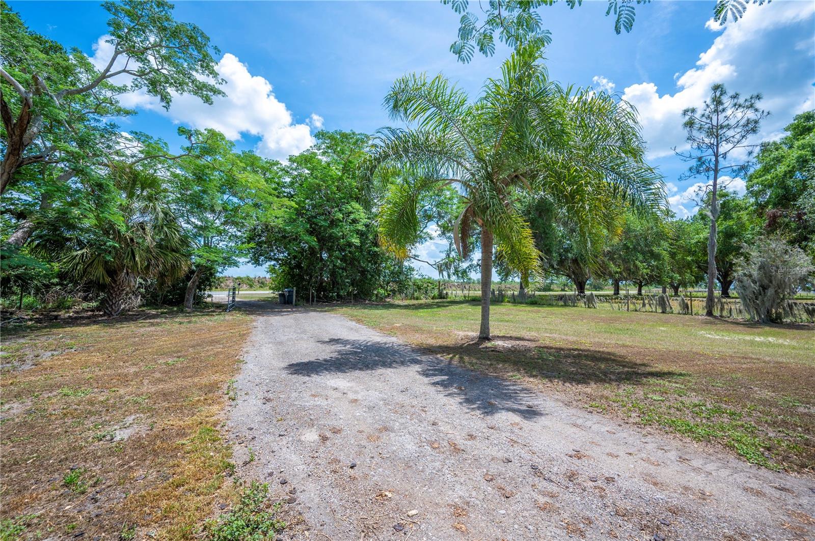 10089 COUNTY ROAD 555, FORT MEADE, FL, 33841