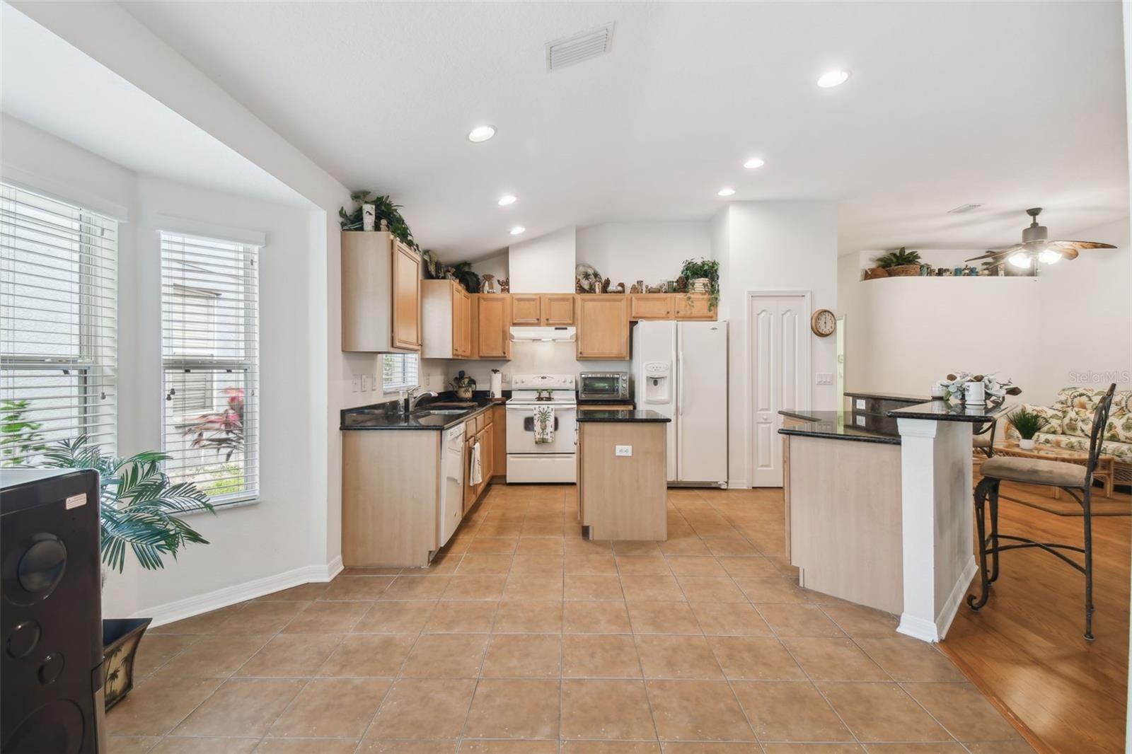 21840 WAVERLY SHORES LN, LAND O LAKES, FL, 34637