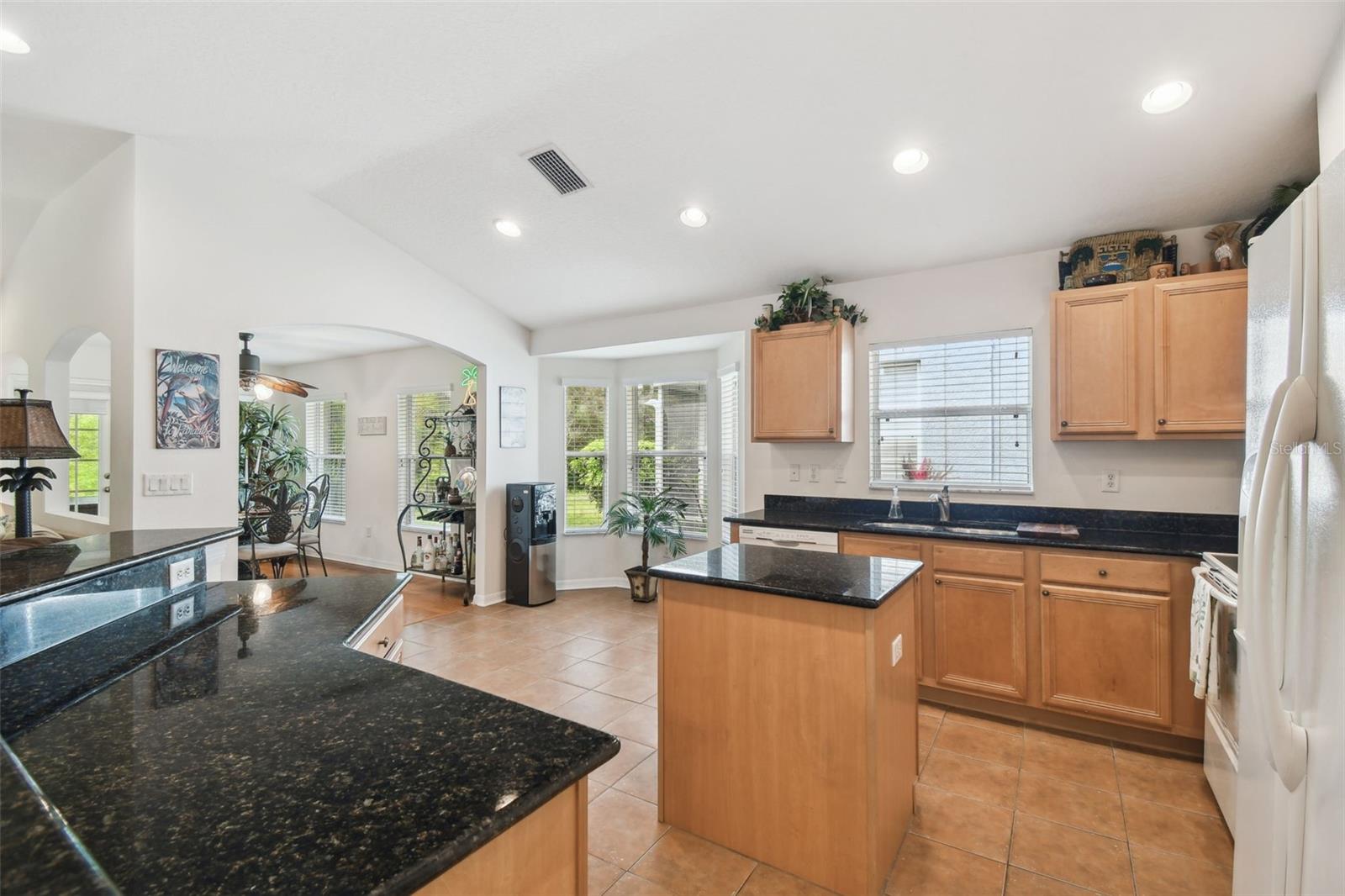 21840 WAVERLY SHORES LN, LAND O LAKES, FL, 34637
