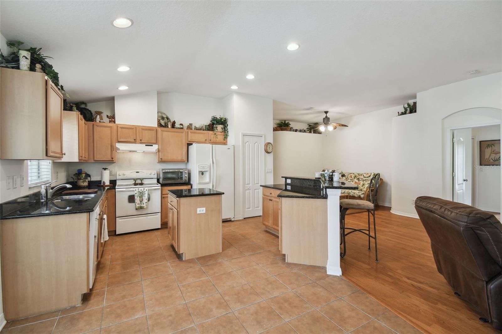 21840 WAVERLY SHORES LN, LAND O LAKES, FL, 34637