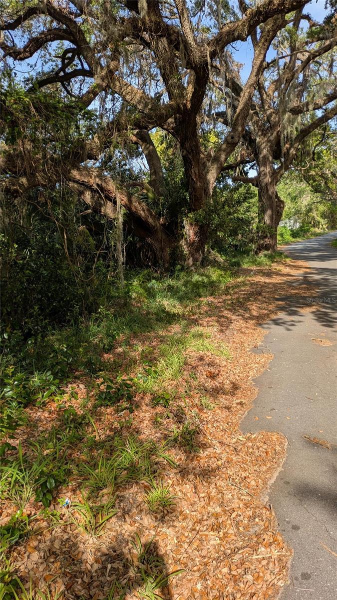0 HIGH ST, YALAHA, FL, 34797