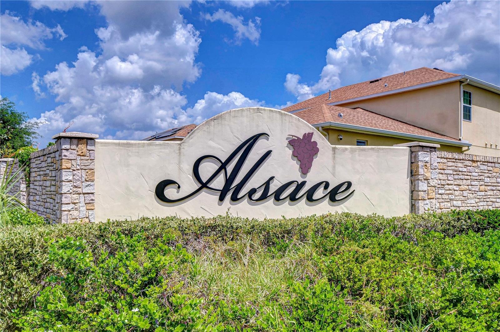 22338 BARTHOLDI CIR, LAND O LAKES, FL, 34639