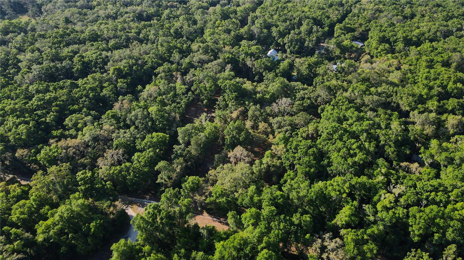 5505 SW 114TH PL, MICANOPY, FL, 32667