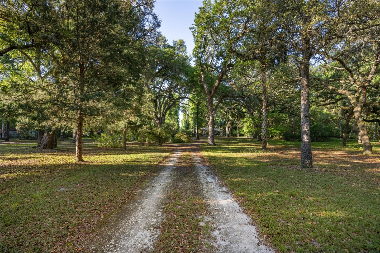5505 SW 114TH PL, MICANOPY, FL, 32667
