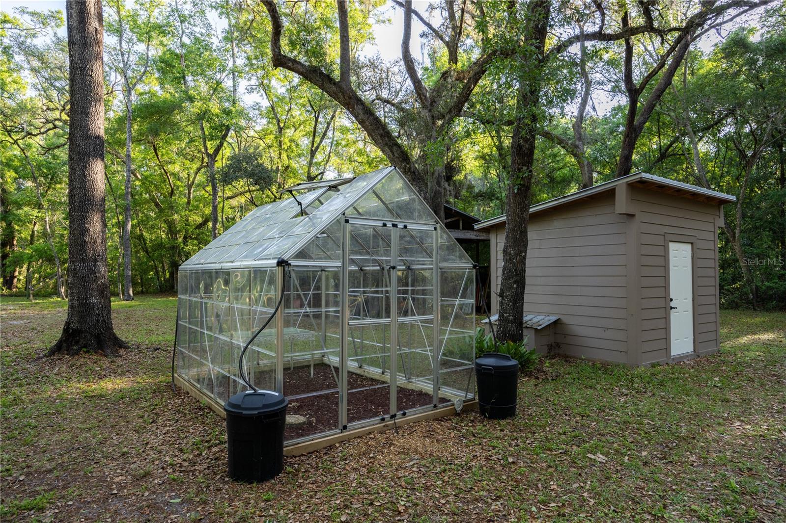 5505 SW 114TH PL, MICANOPY, FL, 32667