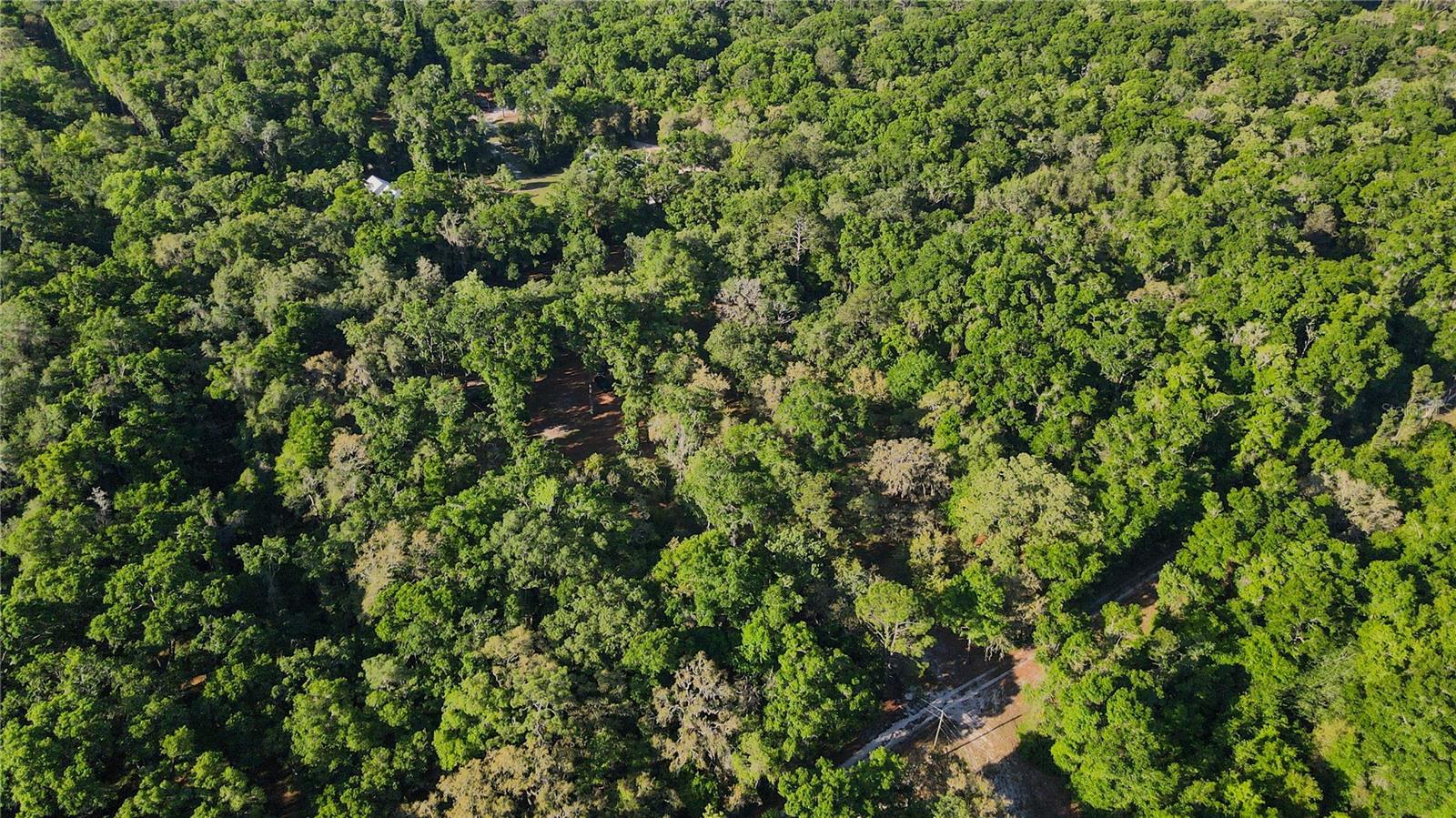 5505 SW 114TH PL, MICANOPY, FL, 32667