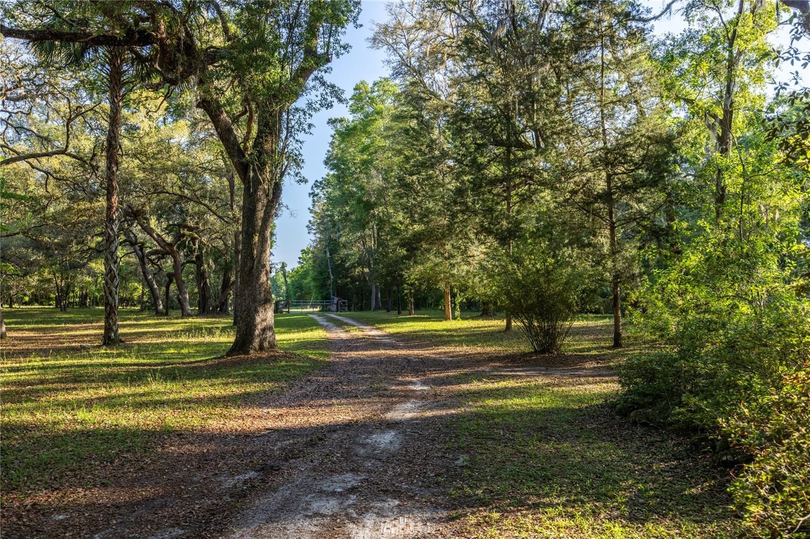 5505 SW 114TH PL, MICANOPY, FL, 32667