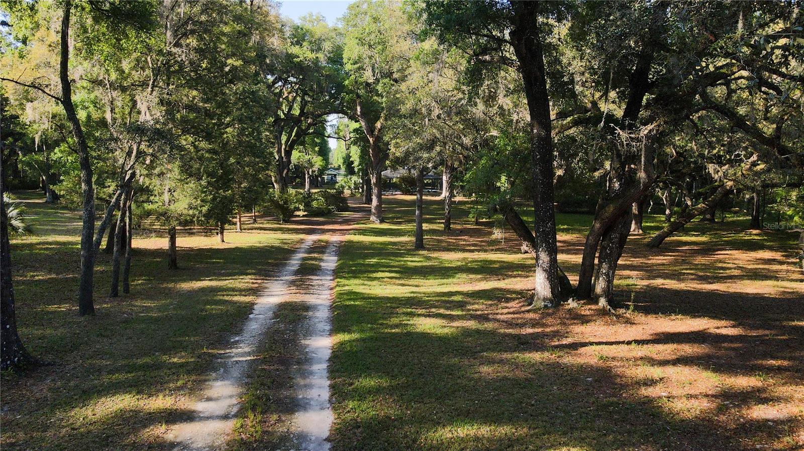 5505 SW 114TH PL, MICANOPY, FL, 32667