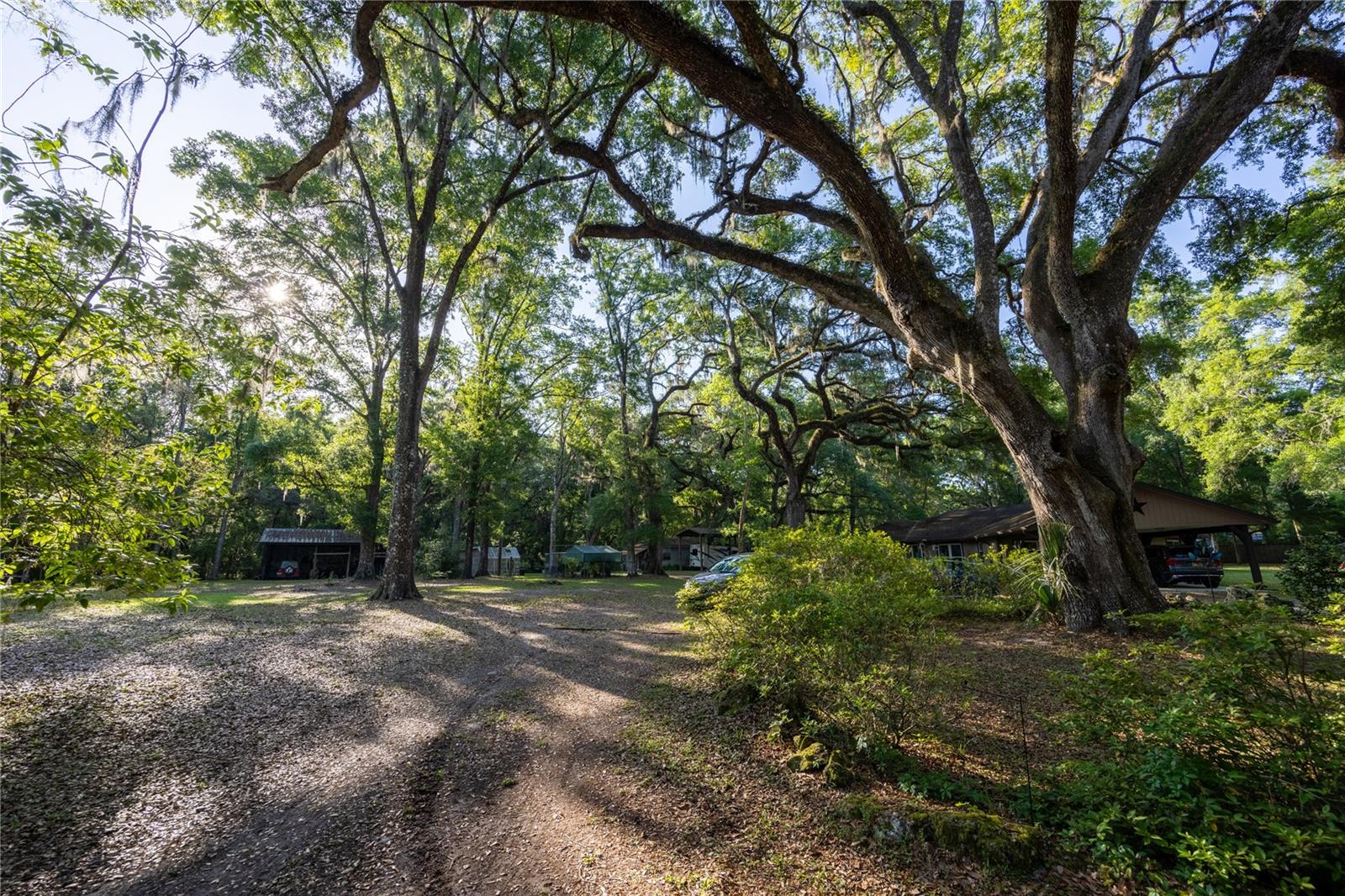 5505 SW 114TH PL, MICANOPY, FL, 32667