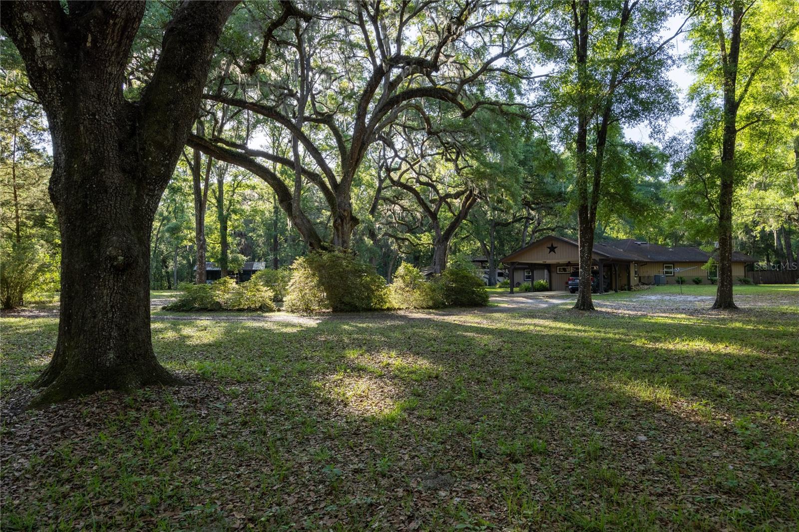 5505 SW 114TH PL, MICANOPY, FL, 32667