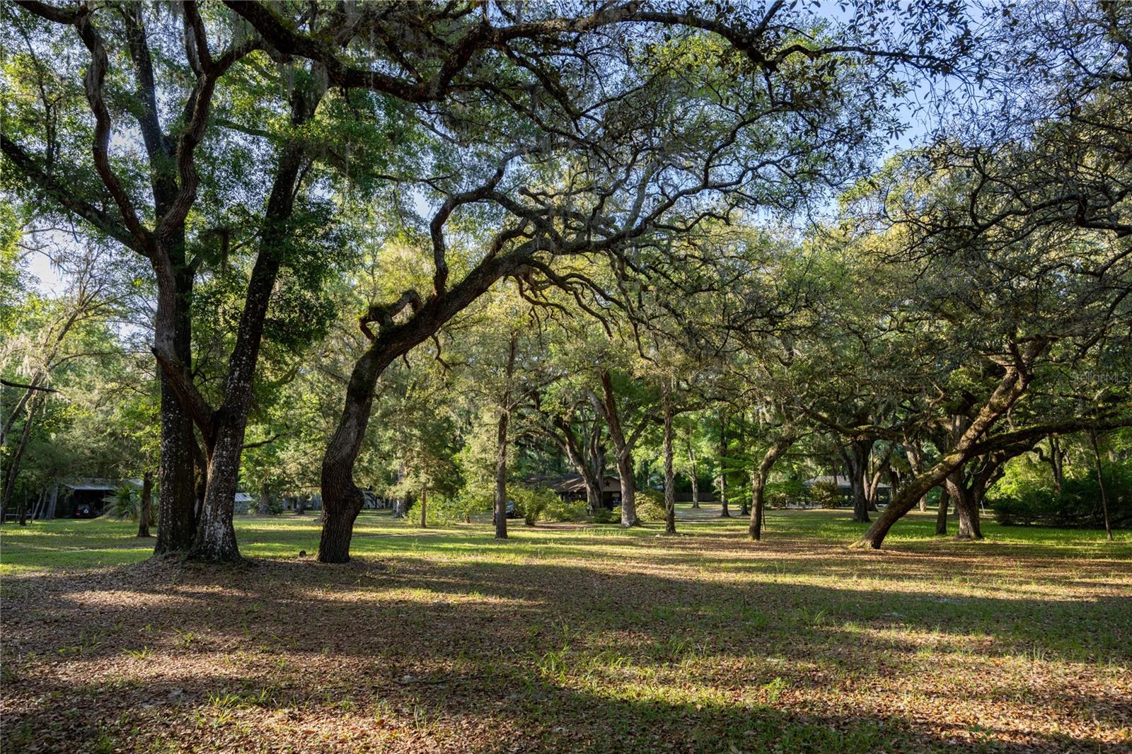 5505 SW 114TH PL, MICANOPY, FL, 32667