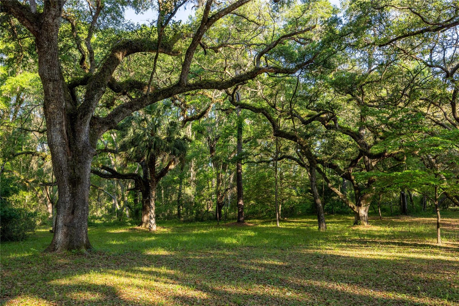 5505 SW 114TH PL, MICANOPY, FL, 32667