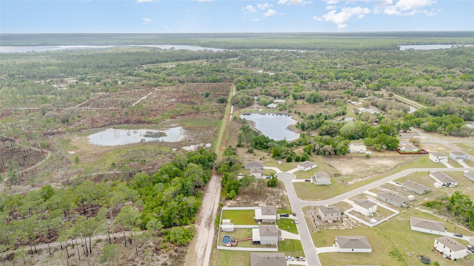 403 RIVER HILL DR, WELAKA, FL, 32193