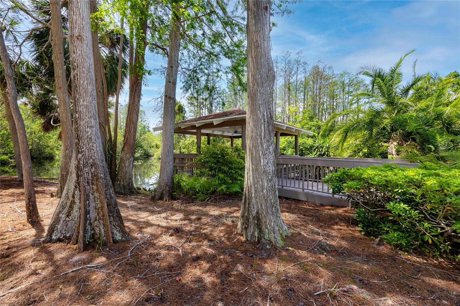 2363 NEWBURG LN #B, SAFETY HARBOR, FL, 34695
