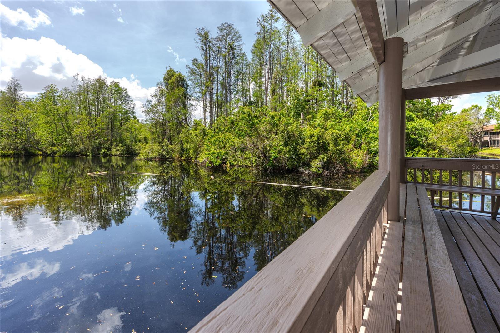 2363 NEWBURG LN #B, SAFETY HARBOR, FL, 34695