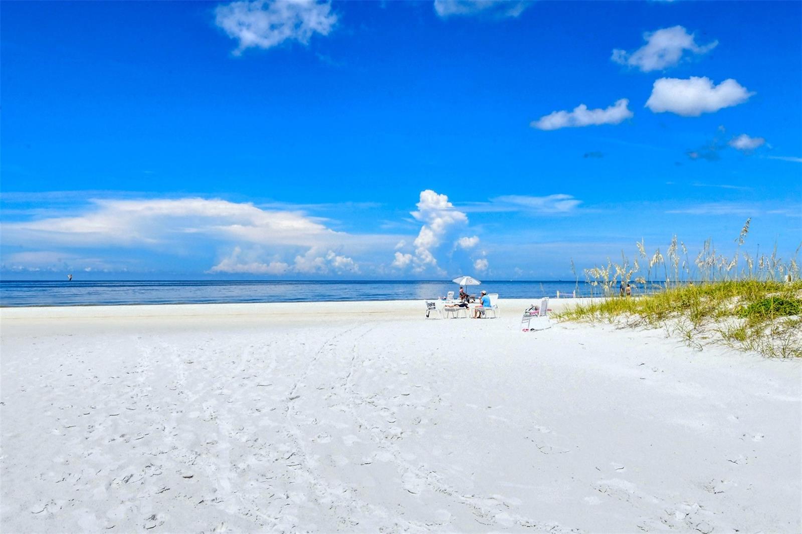 6267 MIDNIGHT PASS RD #306, SARASOTA, FL, 34242