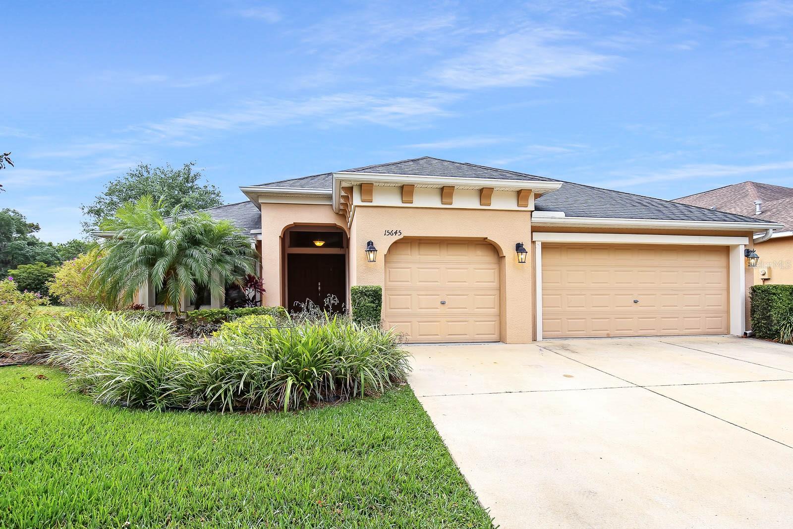 15645 STARLING WATER DR, LITHIA, FL, 33547