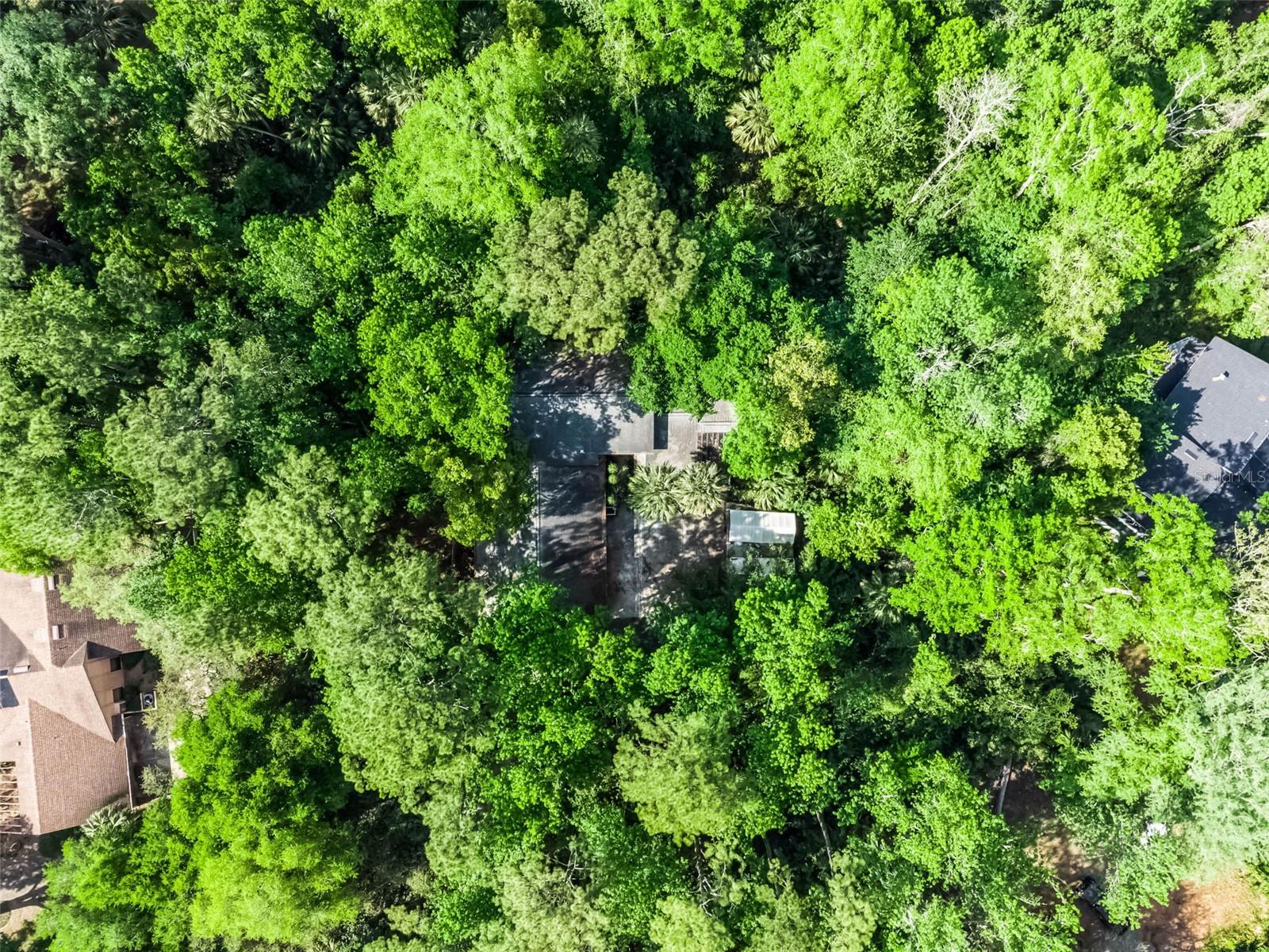 102 WILD PLUM LN, LONGWOOD, FL, 32779