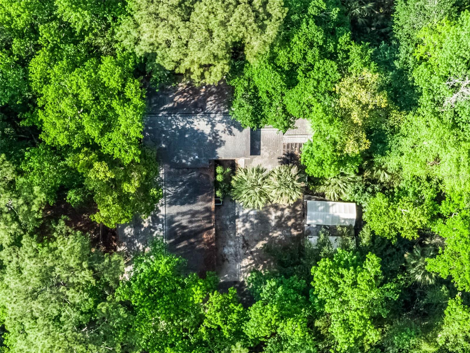 102 WILD PLUM LN, LONGWOOD, FL, 32779