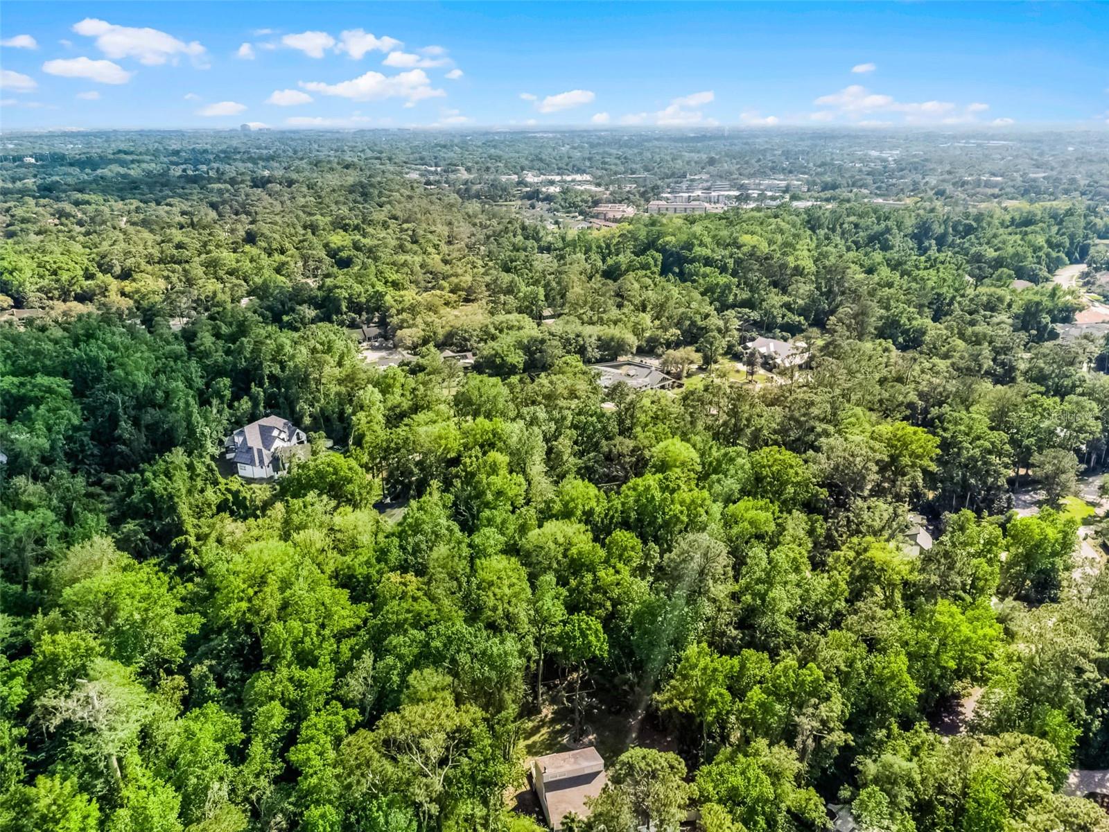 102 WILD PLUM LN, LONGWOOD, FL, 32779