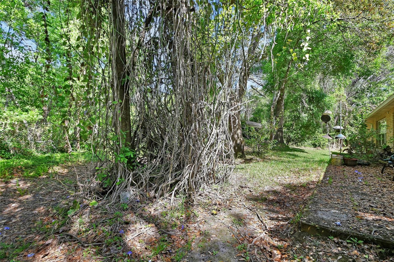 1925 HAMILTON AVE, ORANGE CITY, FL, 32763