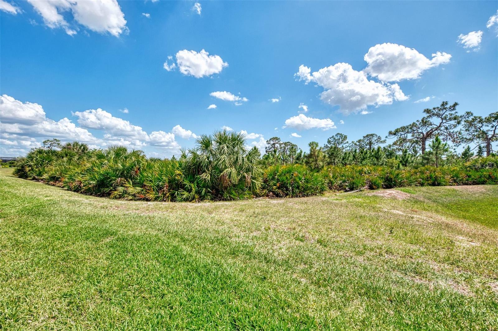 6267 CRESTED EAGLE LN, NOKOMIS, FL, 34275