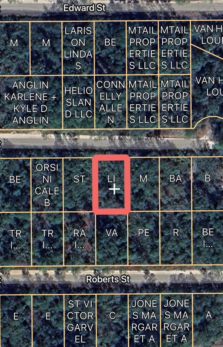 00 BASFORD ST, INTERLACHEN, FL, 32148